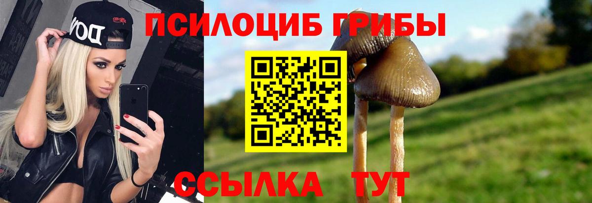 Галлюциногенные грибы Psilocybine cubensis Дубна