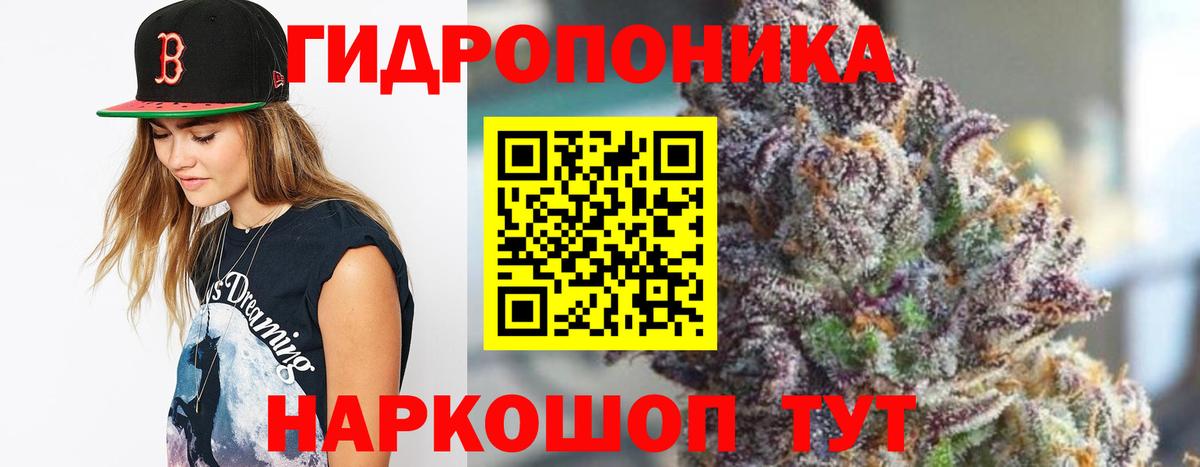 Марихуана Ganja  Марихуана AK-47  Дубна  МАРИХУАНА планчик  Конопля гибрид  Вход с VPN 